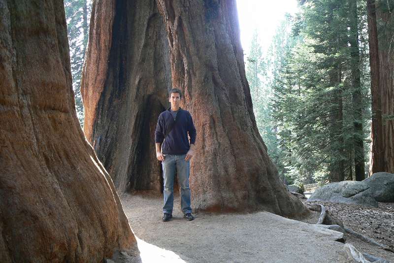30 Sequoia National Park